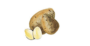 Kartoffeln